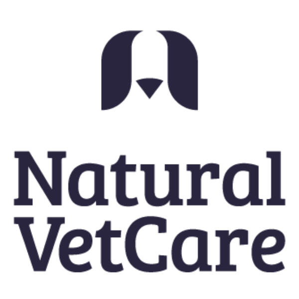 Natural Vetcare A headshot of Rob Martindill, professional filmmaker and videographer based in Edinburgh, Scotland